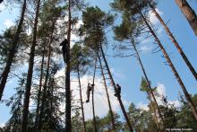 Paralotniarz utknął na samym szczycie wysokiego, 25-metrowego drzewa