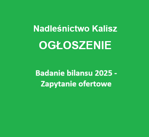 Ogłoszenie - Zapytanie Ofertowe Badanie bilansu 2025 r.