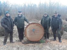 XXVIII Międzynarodowa Aukcja Cennego Drewna Dębowego w Nadleśnictwie Krotoszyn