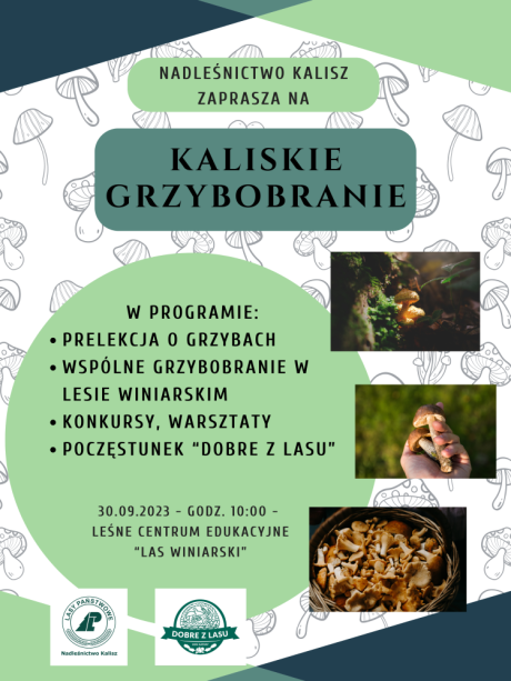 Kaliskie Grzybobranie