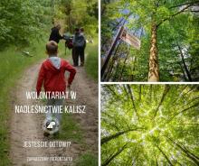 Wolontariat w Nadleśnictwie Kalisz