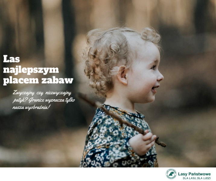 fot&#x2e;Anna&#x20;Mucha